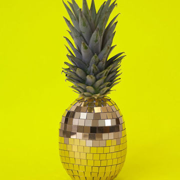 Dizko Floor - Pineapple Disco
