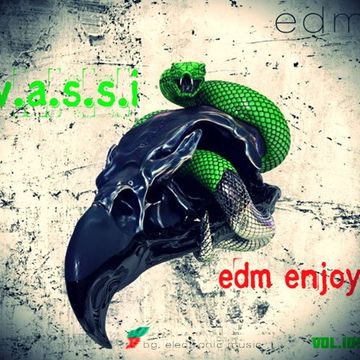 Vassi109 presents EDM Enjoy