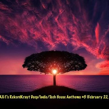 WAX-T's RekordKrayt Deep/Indie/Tech House Anthems #5 (February 22, 2020')