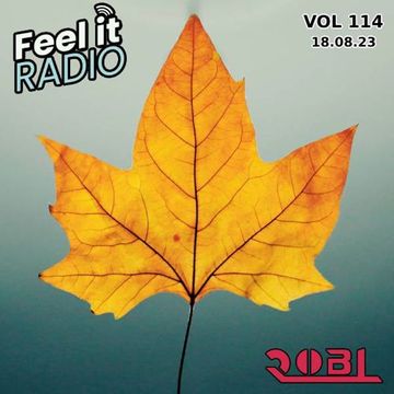 RobL   Feel It Radio Live VOL 114   18.08.23