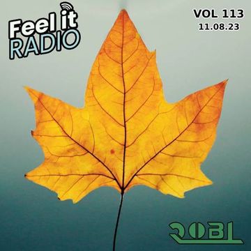 RobL   Feel It Radio Live VOL 113   11.08.23