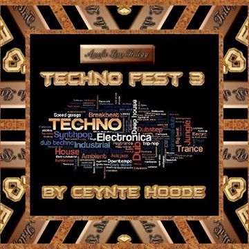 Techno Fest 3