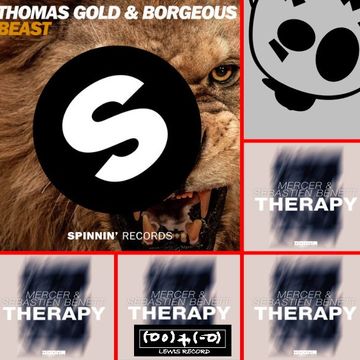 THOMAS GOLD & BORGEOUS X SEBASTIEN BENNETT & MERCER   BEAST THERAPY ( FREAKY X KREAM MASH )