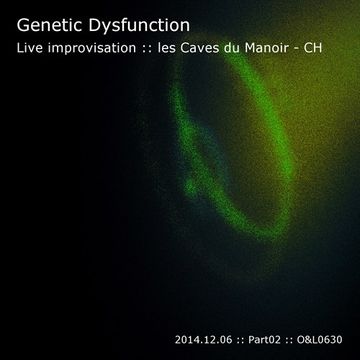 Live Improvisation at les Caves du Manoir - CH - 2014.12.06 - Part02