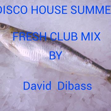 Disco House Summer (Fresh Club Mix)