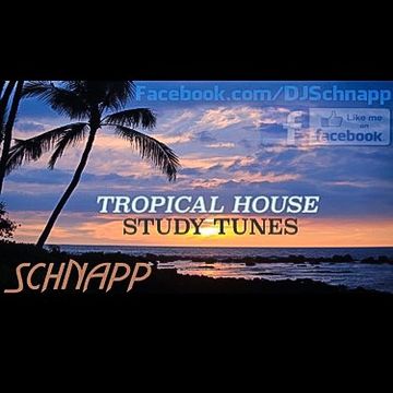 Tropical House: Study Tunes