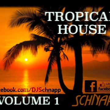 Tropical House: Spring Break