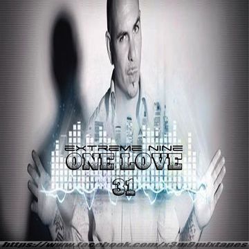 ONE LOVE 31 ft Pitbull