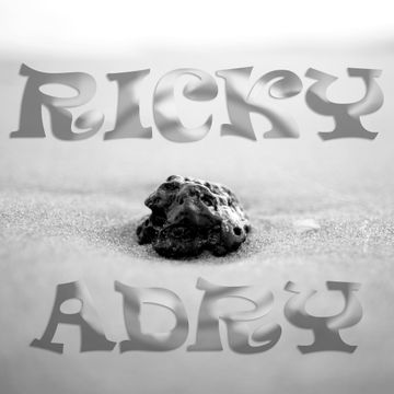 Ricky Adry - You Know What