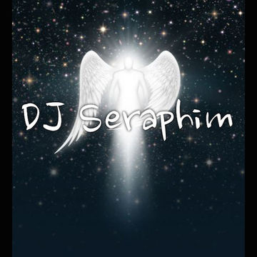 In The Mix Volume 4 DJ Seraphim