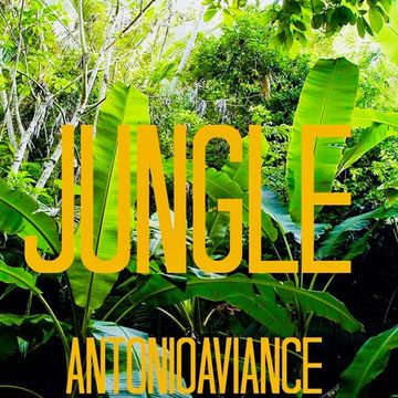 JUNGLE