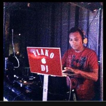 The Funk Flakodj (Tech House MixShow)