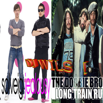 MARTIN SOLVEIG vs DOOBIE BROTHERS   Long train runnin' jealousy (DJ WILS ! remix)