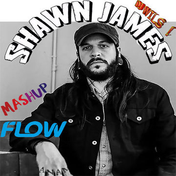 SHAWN JAMES   Flow (DJ WILS ! remix)