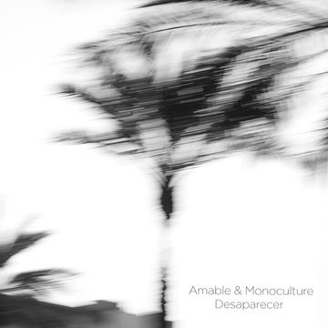 Amable & Monoculture - Desaparecer (Mr. B Remix)