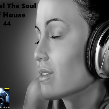  Feel The Soul Of House 44(Aug.29 2015)