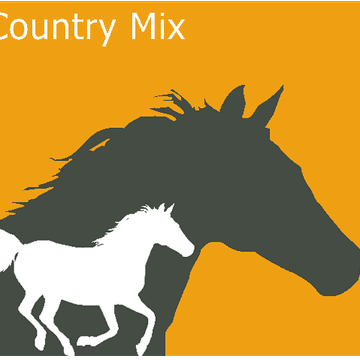 Country Mix 1