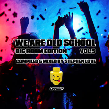 WE ARE OLD SCHOOL VOL.5 BIG ROOM EDITION  