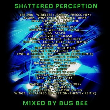 Shattered Perception 