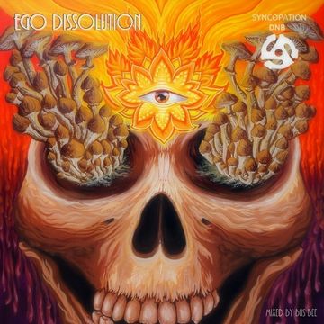 Ego Dissolution - A Drum & Bass Mix Mixed By Bus Bee