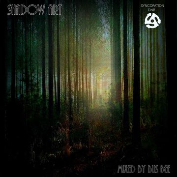 Shadow Art - A Dark Drum & Bass Mix Mixed By Bus Bee