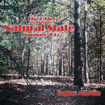 Live at Natural State 2015