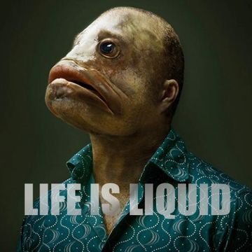 Life is Liquid - Sonar