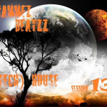 Wammez Beatzz Tech House session 13