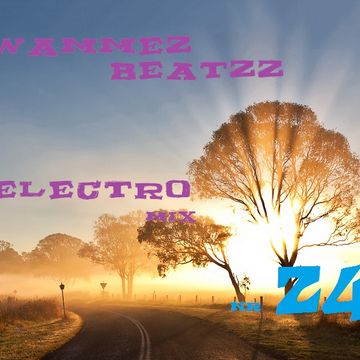 Wammez Beatzz Electro mix volume 24