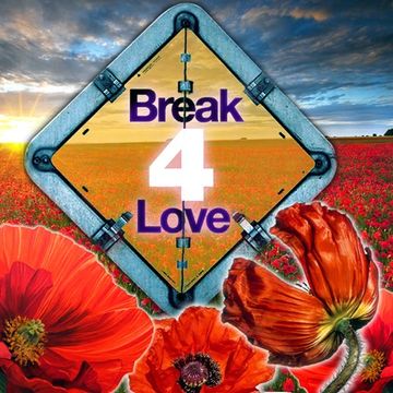 Break For Love