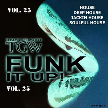 Tommy Gee White - Funk It Up! Vol. 25