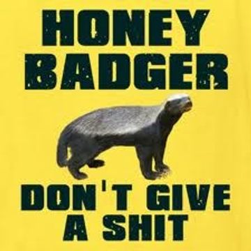 Pumped Up Kicks (The Honey Badger Mega Mix)