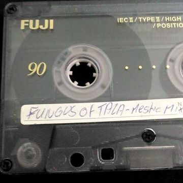 FUNGUS of TALA-Mestic Mix ...by Mr.Vain (Rare Tape - Side B)