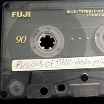 FUNGUS of TALA-Mestic Mix ...by Mr.Vain (Rare Tape - Side A)