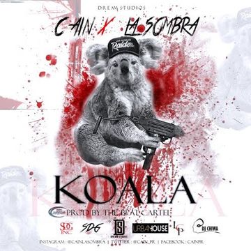 Cain La Sombra - Koala