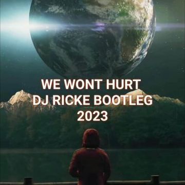 DJRICKE WE WONT HURT