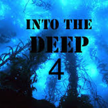 DJ Miki Into The Deep 4