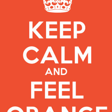 Feel The Orange