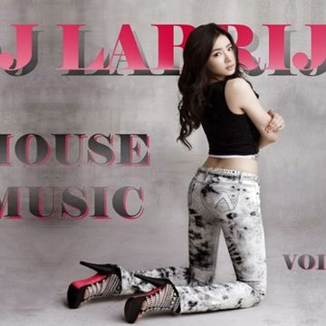 Dj Labrijn - House music vol 6