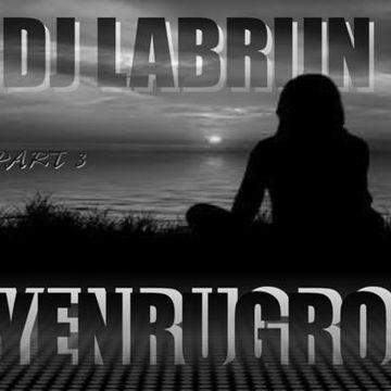 Dj Labrijn  -  YenruGro P3