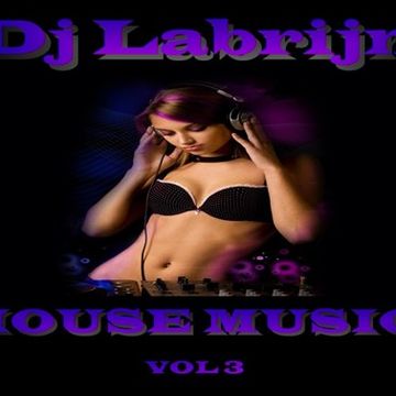 Dj Labrijn - House music vol 3