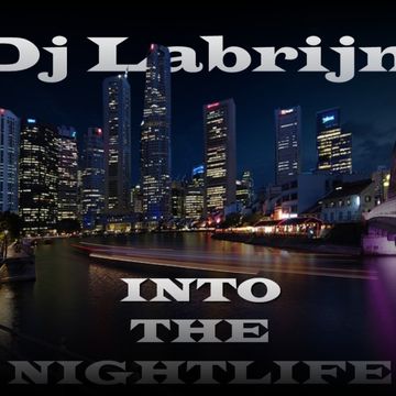 Dj Labrijn   Into the nightlife