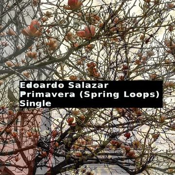 Primavera (Spring Loops) Original Mix