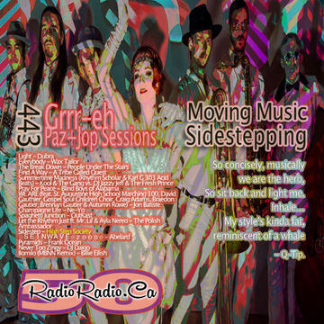 DJG443 – Sidestepping - Moving Music – Paz and Jop Series