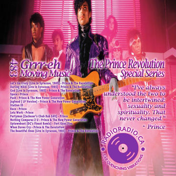 The Prince Revolution by DjGrrr-eh – DJG483 from the Special Series