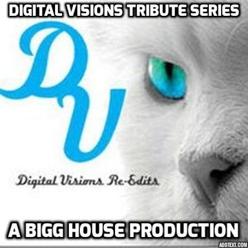 Digital Visions Tribute Mix (Bonus Paradise Garage Style Session)