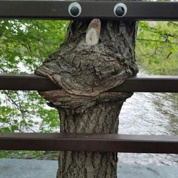 SSTAGGAT™ LIVE BeatsnBass.com 09th Nov. 2025