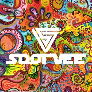 S Dot Vee - We Like To Groove - Vol 2 