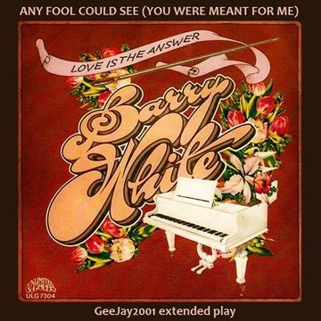 Barry White - Any Fool Could See (GeeJay2001 extended play)