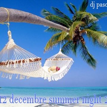 dj pascalnjoy vol 12 decembre summer night 2021